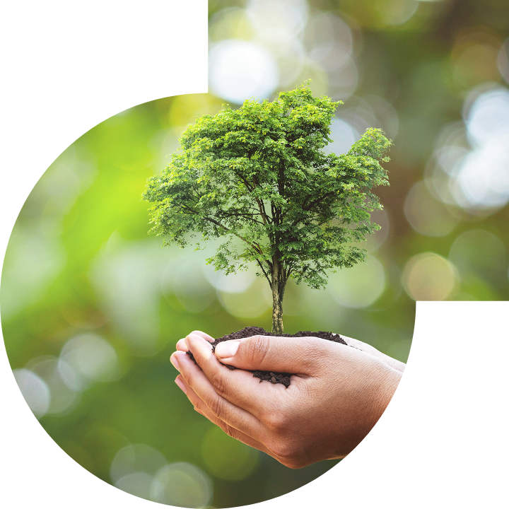 关怀人类、文化、环境与社会